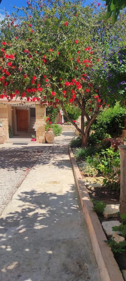 Villa Anthemida Chania Agia  Extérieur photo